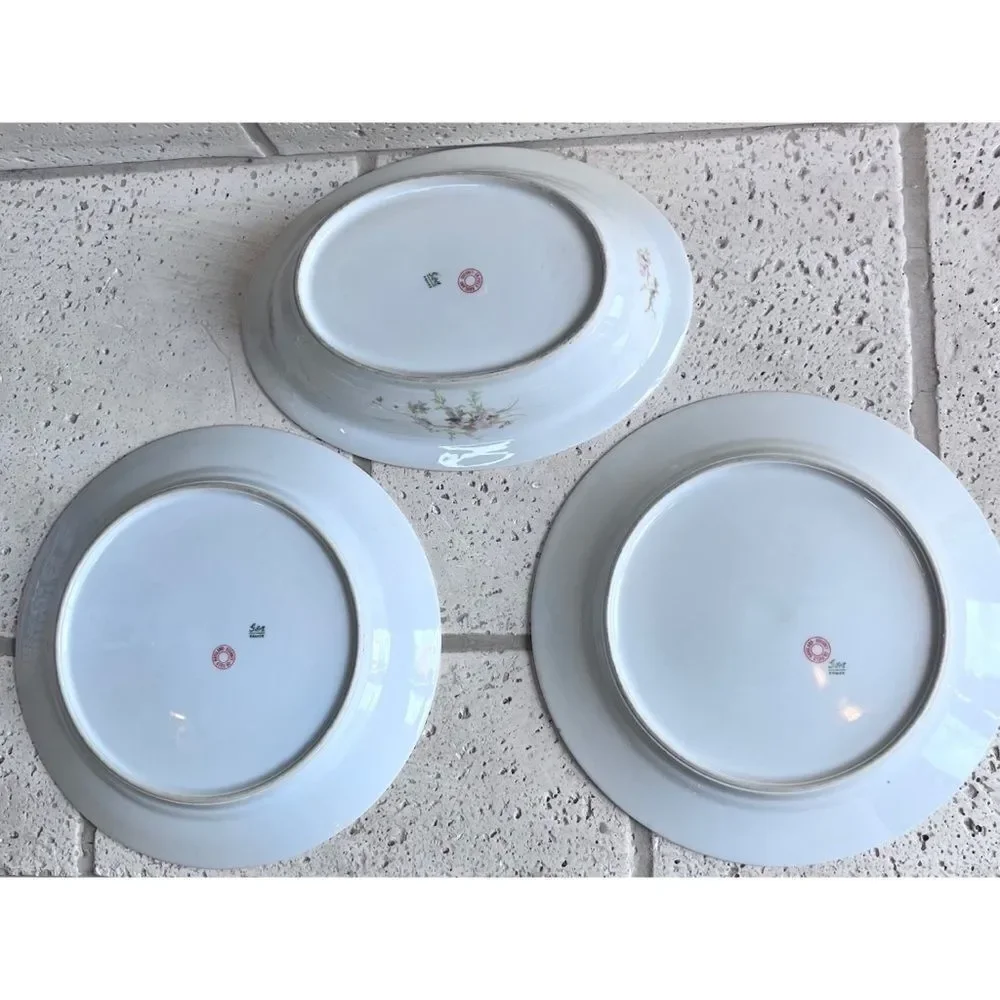 Vintage GDA CH Field Haviland Limoges France Floral Dinner Plates & Serving Dish